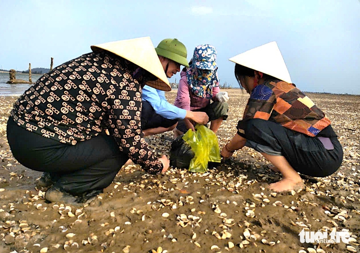 ngao chết - Ảnh 4.