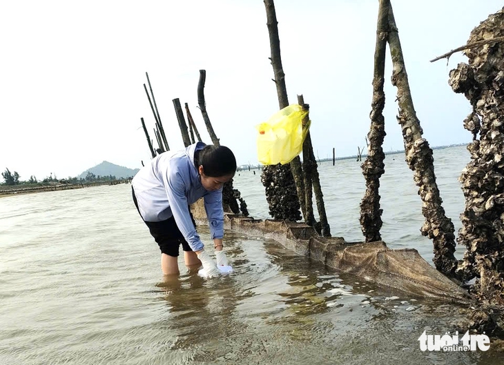 ngao chết - Ảnh 5.