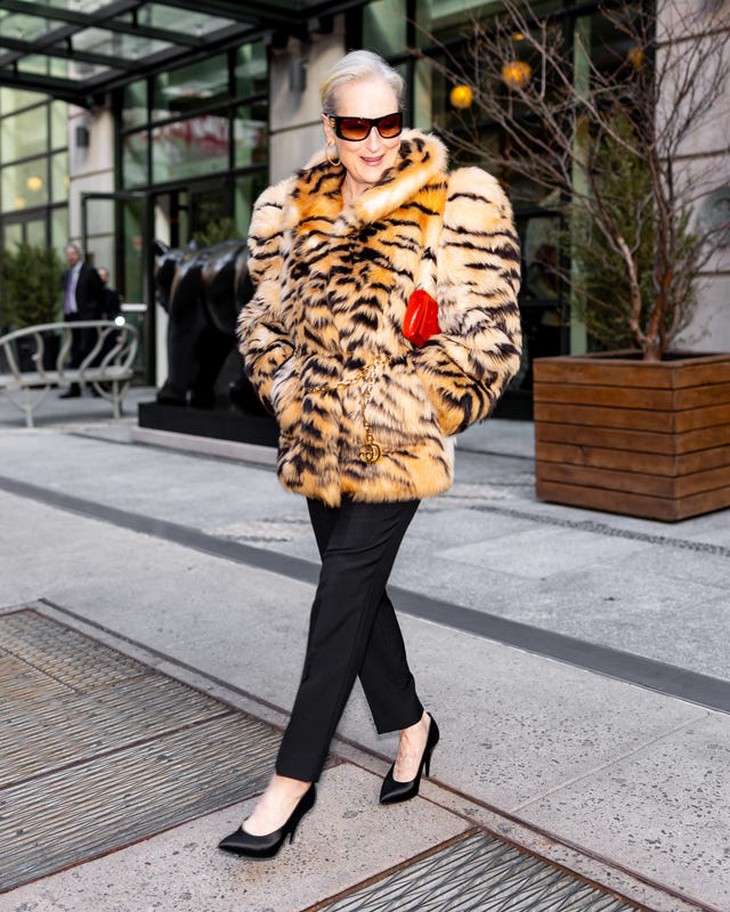 Meryl Streep - Ảnh 4.