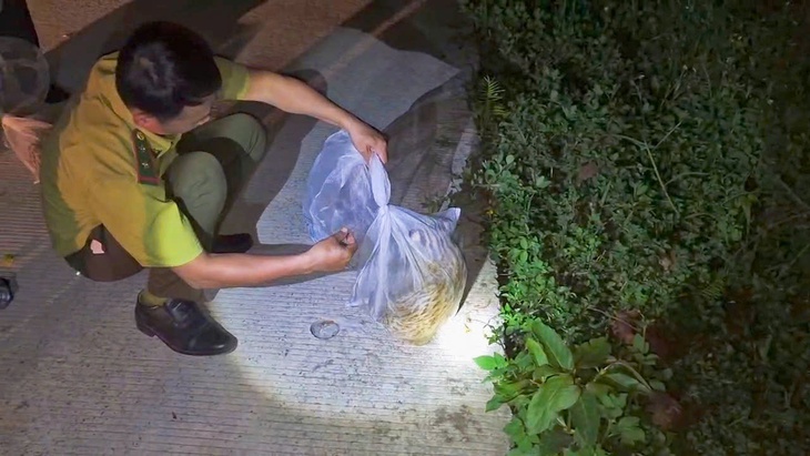 gà lôi trắng - Ảnh 2.