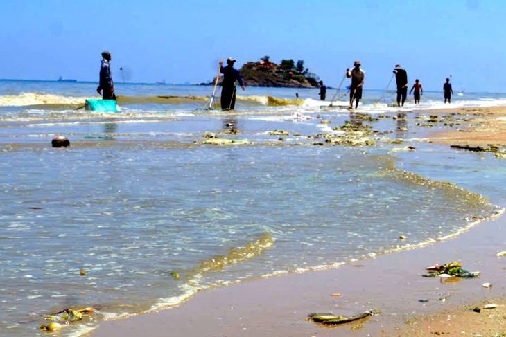 Nước biển ở Vũng Tàu đổi màu xanh, tím nghi do vi tảo - Ảnh 1.