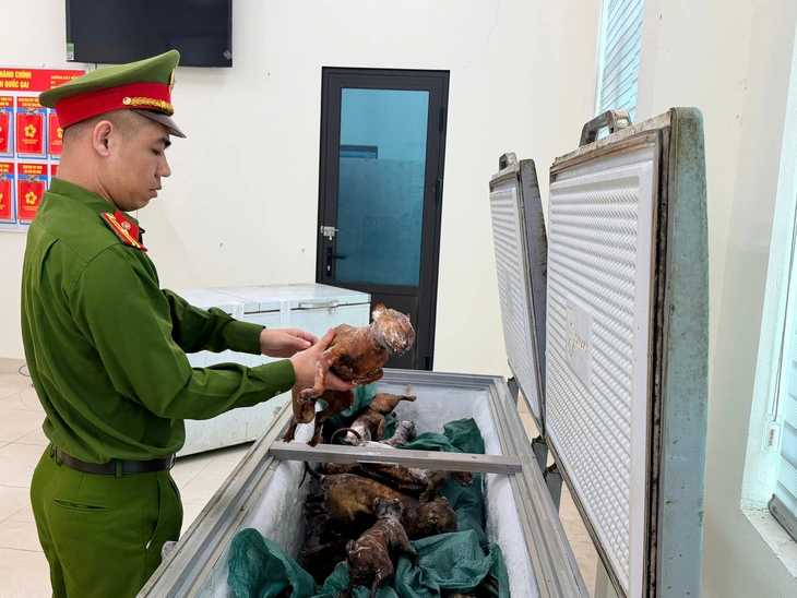 trộm mèo - Ảnh 4.