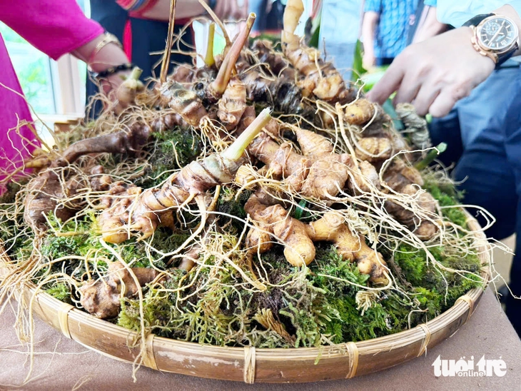 Đà Nẵng - Ảnh 1.