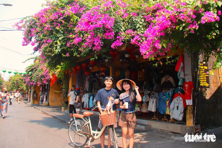 hoa giấy - Ảnh 1.