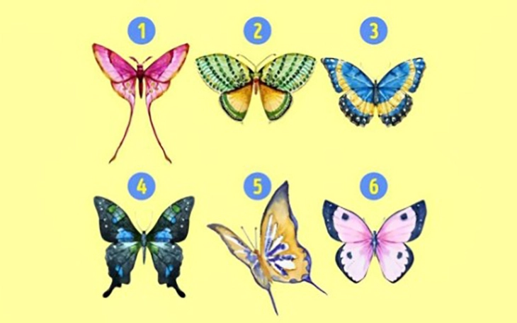 Quiz: Bạn tự tin, quyết đoán hay ấm áp, tốt bụng? - Ảnh 2.