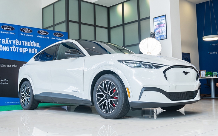 Ford Mustang Mach-E - Ảnh 2.