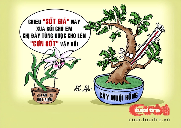 Loại cây rừng định lặp lại 'kỳ tích' lan đột biến - Ảnh 1.