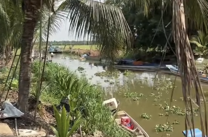 Người dân lại thấy cá sấu dưới kênh, chính quyền thông báo cảnh giác - Ảnh 1.