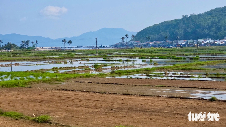 nhiễm mặn - Ảnh 1.