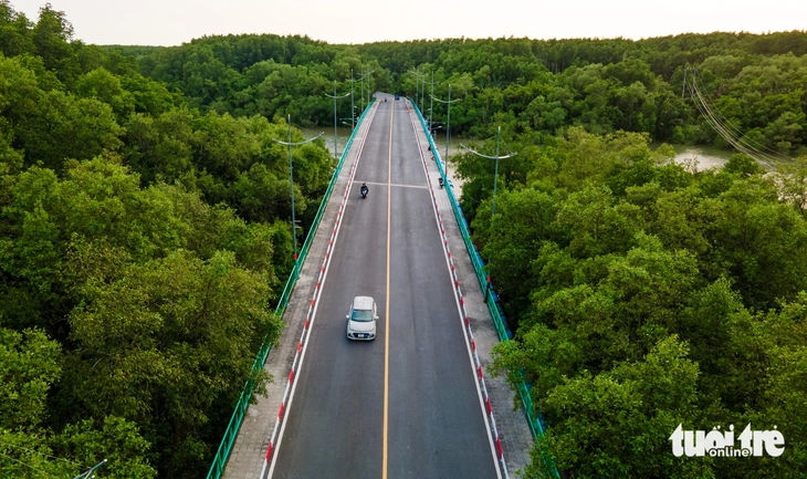 Rừng Sác - Ảnh 10.