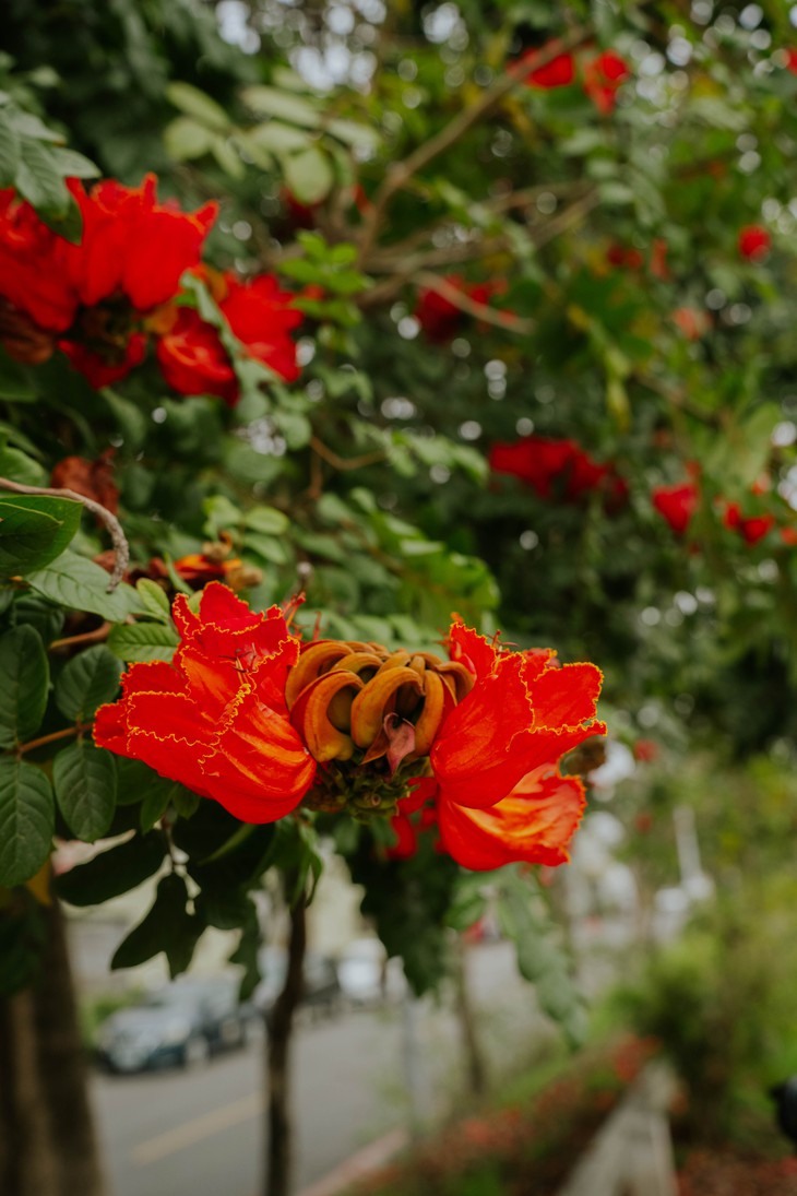 du lịch - Ảnh 4.