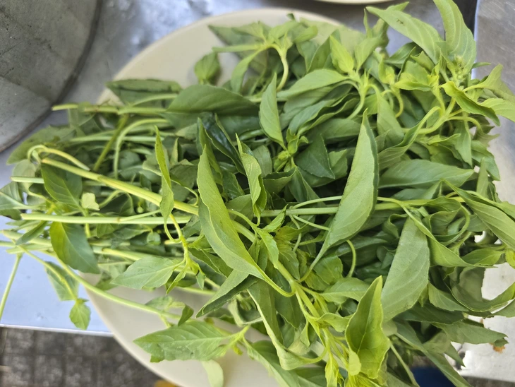 lẩu gà lá é - Ảnh 3.