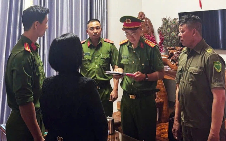 Giám đốc cùng kế toán bị khởi tố vì trốn thuế - Ảnh 2.