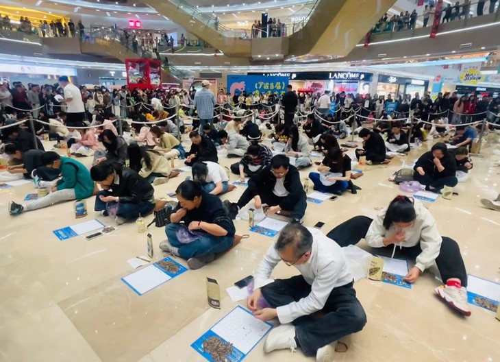 hướng dương - Ảnh 1.