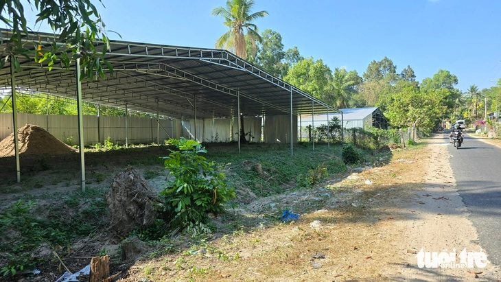 Báo động tình trạng xây dựng trái phép và trồng cây đón dự án đường kết nối cao tốc - Ảnh 3.