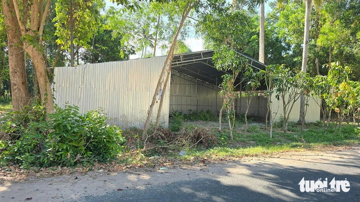 Báo động tình trạng xây dựng trái phép và trồng cây đón dự án đường kết nối cao tốc - Ảnh 4.