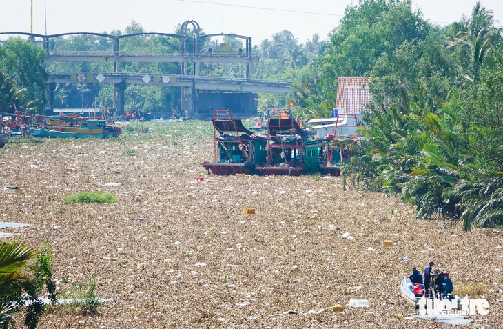 Hãi hùng ô nhiễm môi trường các cửa cống ngăn mặn ở An Giang - Ảnh 2.