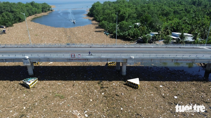 ô nhiễm môi trường - Ảnh 3.