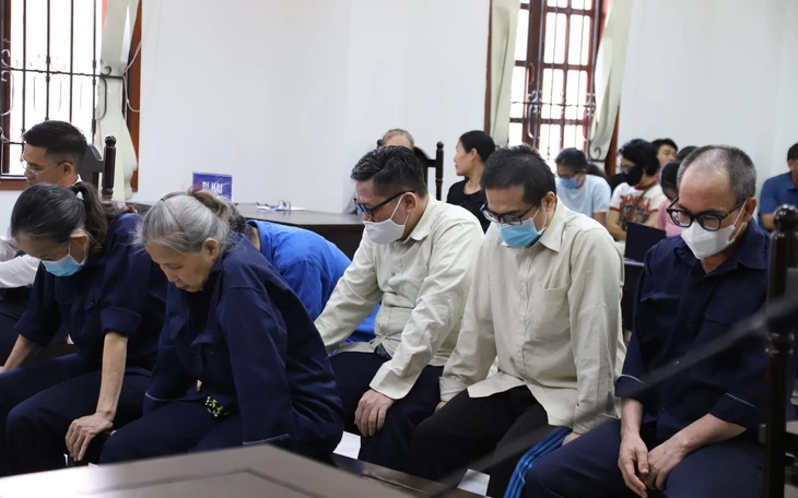 Chiếm đoạt tiền giao hàng của công ty, nam shipper lãnh án 7 năm tù  - Ảnh 2.