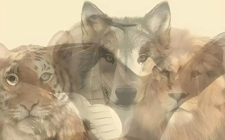 Quiz: Bạn có khả năng nhìn thấy tiềm năng ở người khác? - Ảnh 3.