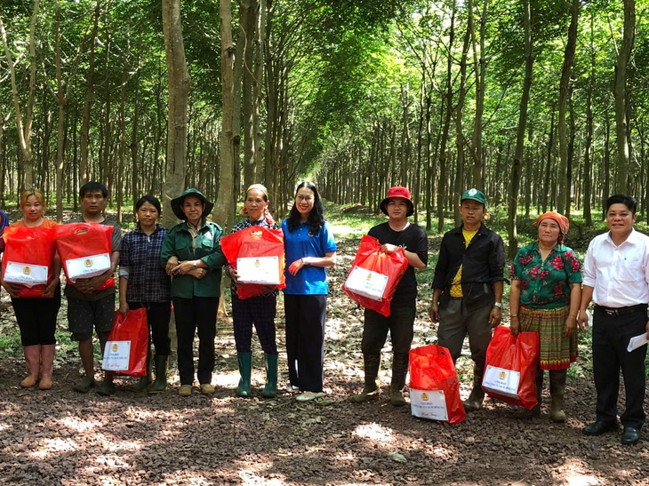 cao su Việt Nam - Ảnh 3.