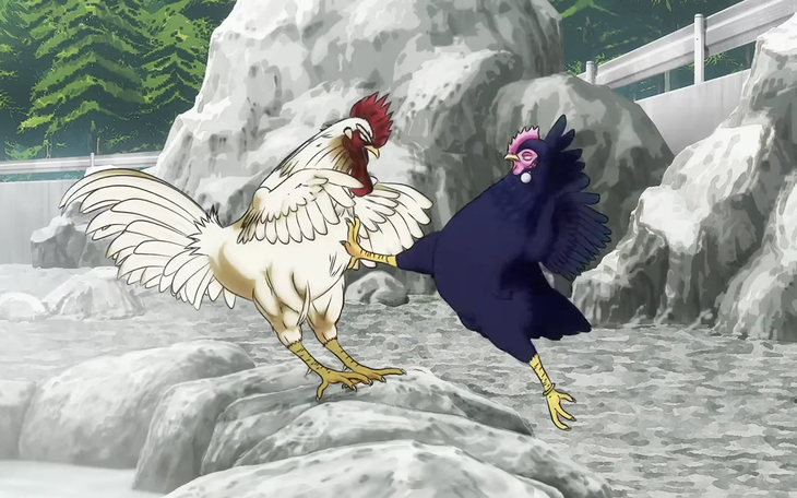 Rooster Fighter - Ảnh 4.