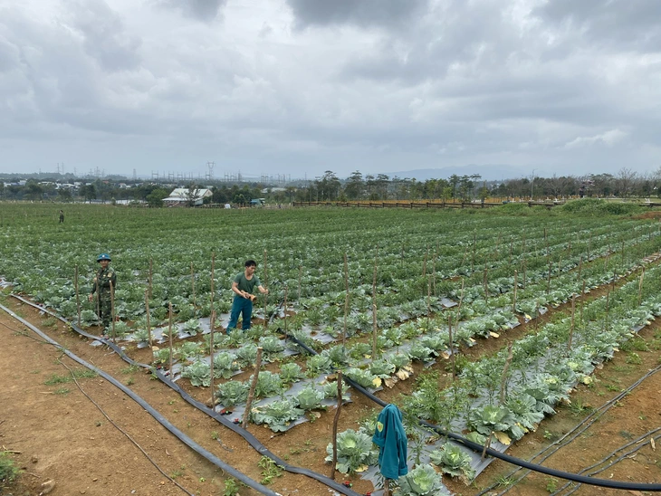 Nhật Bản - Ảnh 1.