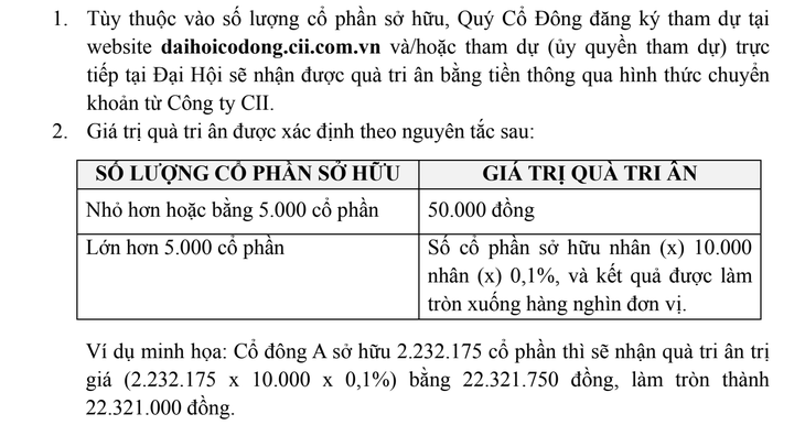 cổ đông - Ảnh 2.