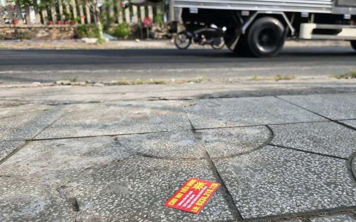 Cây người này trồng, trái nằm ở phía nhà kia, ai được hưởng hoa lợi? - Ảnh 2.