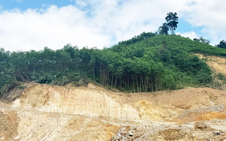 Ông Nguyễn Mạnh Hùng làm Chủ tịch UBND TP Đà Nẵng - Ảnh 2.