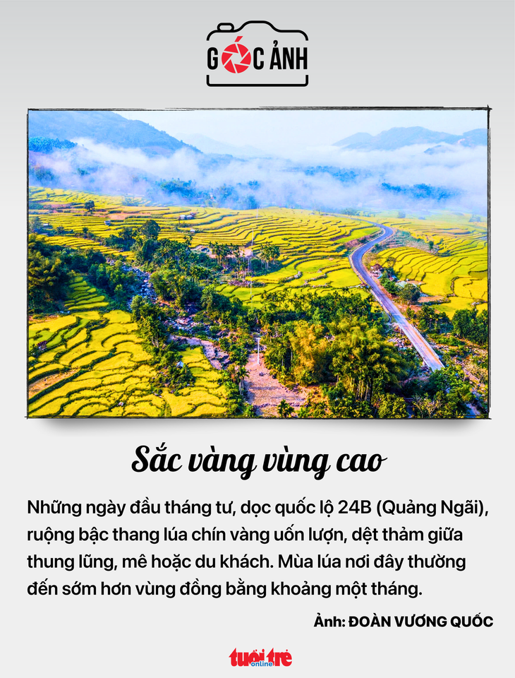 tin tức - Ảnh 6.