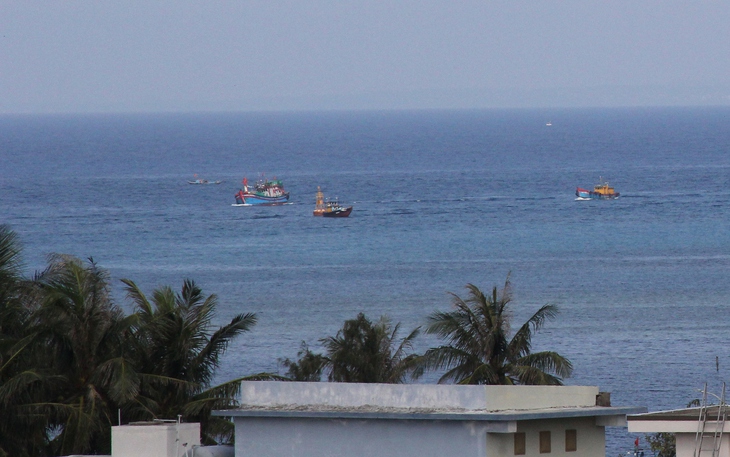 Những mùa aitiso của tuổi thơ - Ảnh 3.