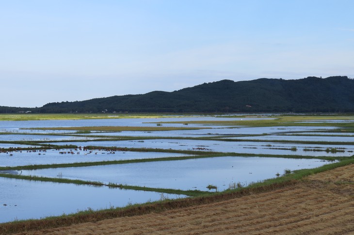 Nhà đầu tư đề xuất làm dự án điện mặt trời tại đầm Lâm Bình - Ảnh 3.