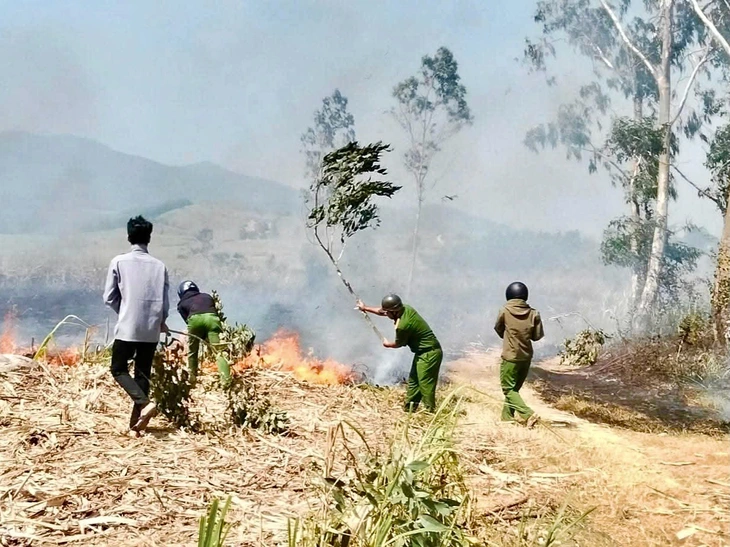 cháy mía - Ảnh 5.