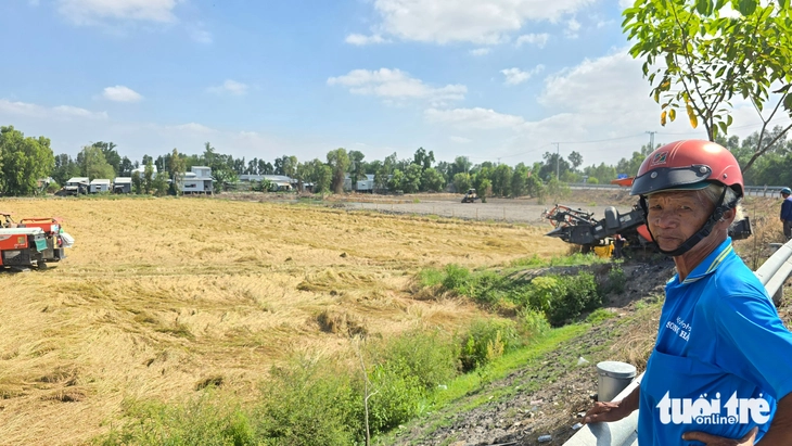 Nhiều nông dân sẽ giảm lúa vụ 3, hạn chế rủi ro do xăng dầu tăng - Ảnh 3.