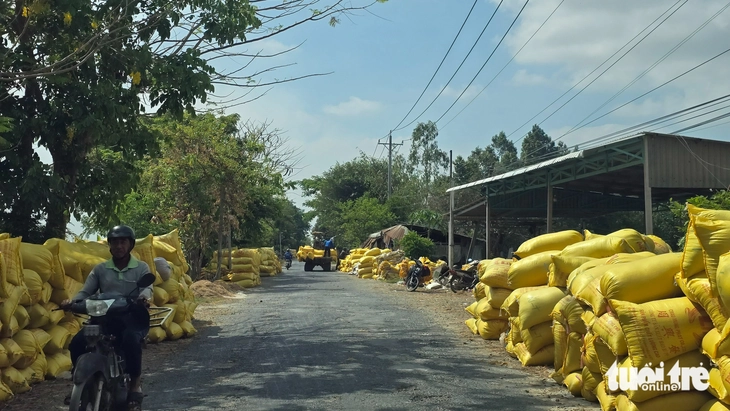 xăng dầu - Ảnh 3.