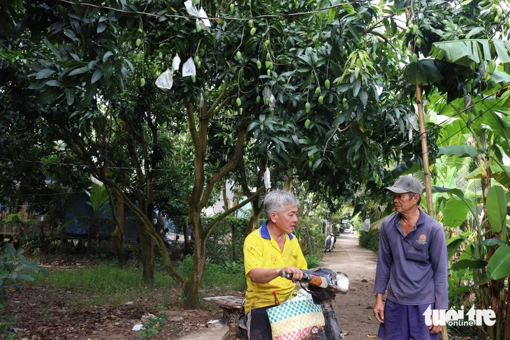 Cù Lao Giêng - Ảnh 3.