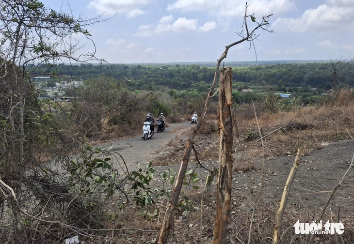 Hiện trường vụ xe tải lao trên núi Tà Zôn xuống vực, 3 người chết - Ảnh 4.