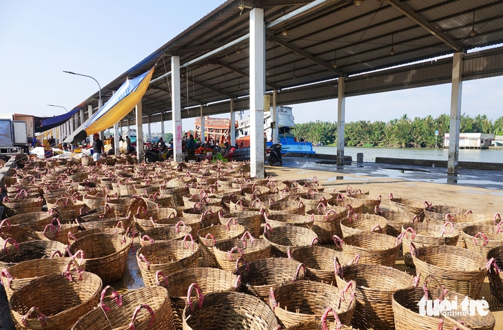 'Siêu' cảng cá Tắc Cậu ở An Giang trầm lắng do đâu? - Ảnh 2.