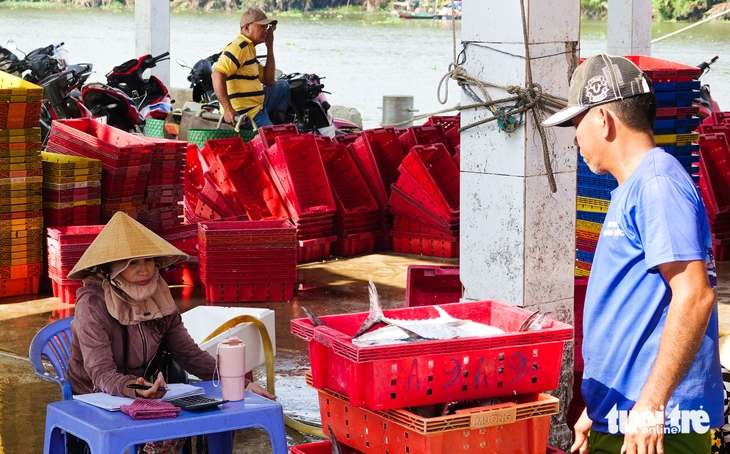 Tắc Cậu - Ảnh 5.