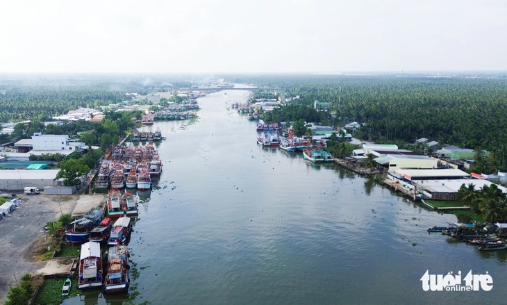 Tắc Cậu - Ảnh 6.