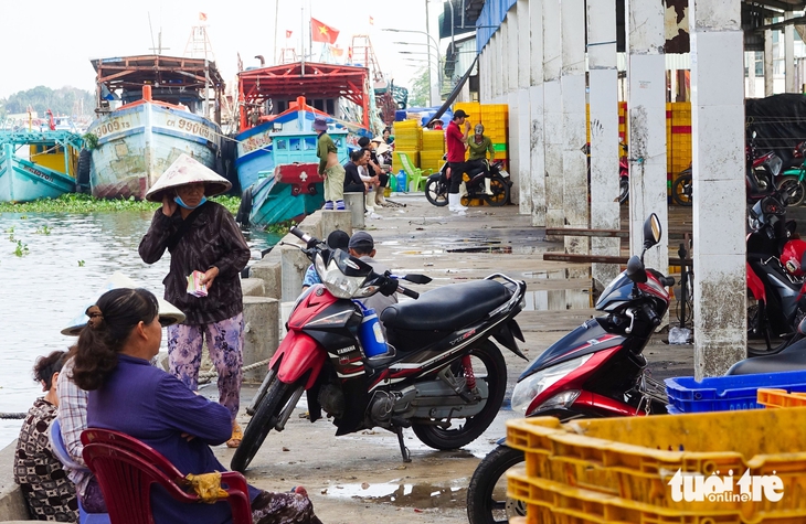 Tắc Cậu - Ảnh 3.