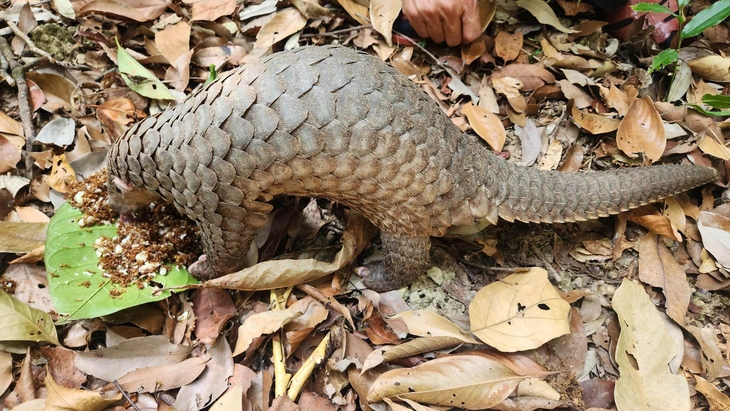 Kon Ka Kinh - Ảnh 3.