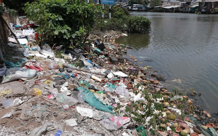 Rác thải tràn lan, cỏ dại um tùm từ khu tái định cư Thủ Thiêm đến dọc đường Tố Hữu - Ảnh 12.