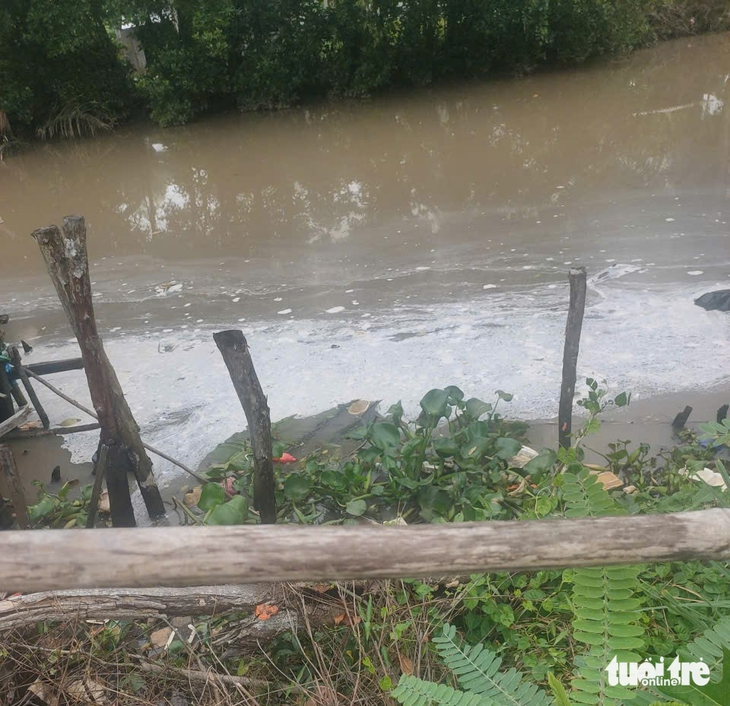 ô nhiễm - Ảnh 2.