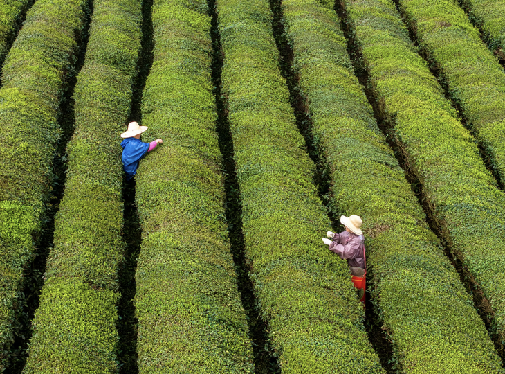 Tin tức thế giới 10-4: Mỹ cảnh báo Iran về việc thu phí qua eo biển Hormuz, Nga ngừng bắn 31 giờ - Ảnh 5.