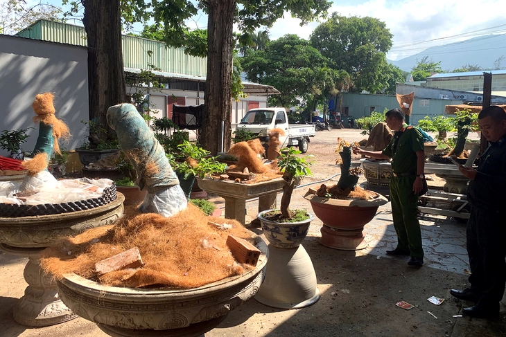 Côn Đảo - Ảnh 2.