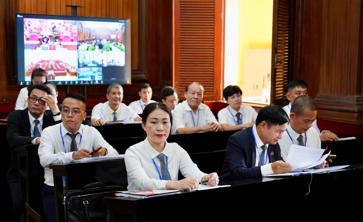 Luật sư công - 'người bảo vệ' mới của dân - Ảnh 1. luật sư công - Ảnh 1.