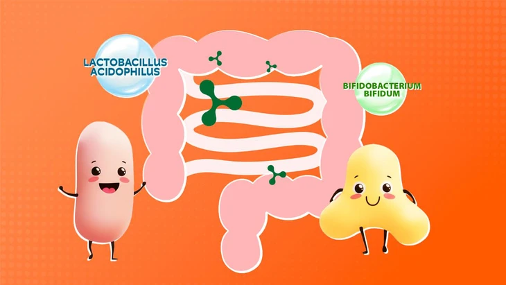 tiêu hóa  - Ảnh 1.