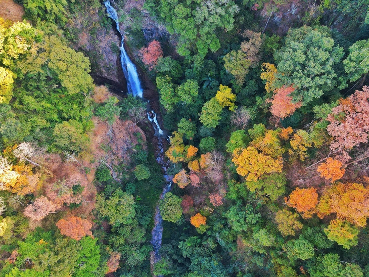 Quảng Ngãi - Ảnh 2.